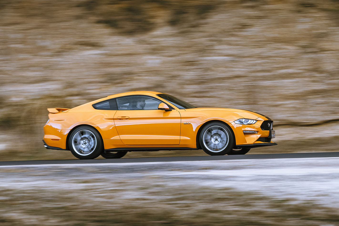 GT Mustang