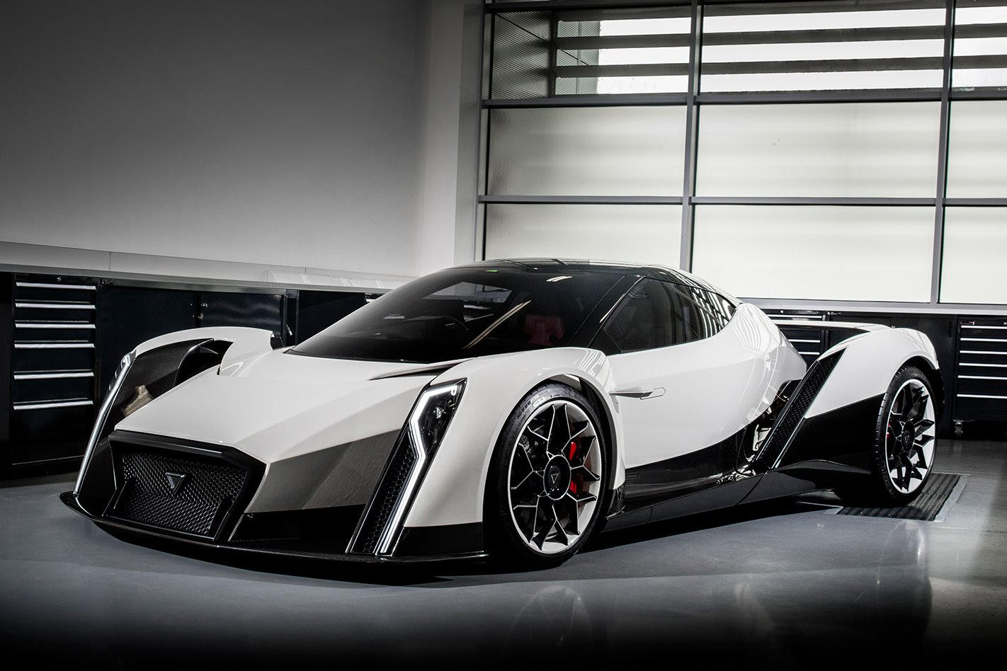 Vanda Dendrobium hypercar