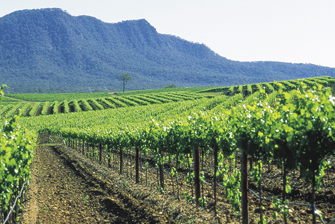 Sydney Hunter Valley