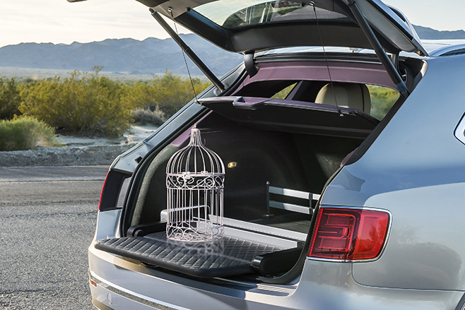 Bentley Bentayga falconry edition rear