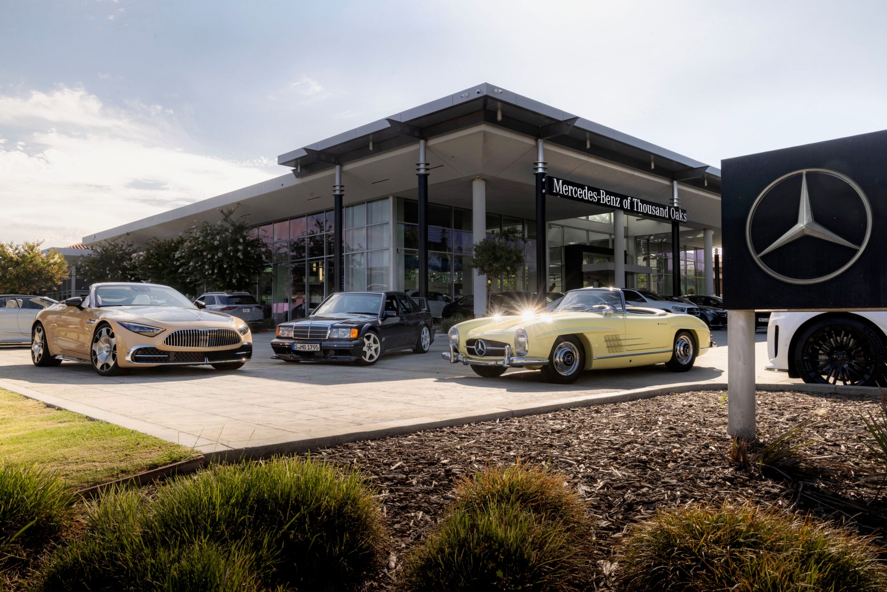 Front view of a Mercedes-Benz dealership with multiple luxury cars parked outside and the Mercedes sign.