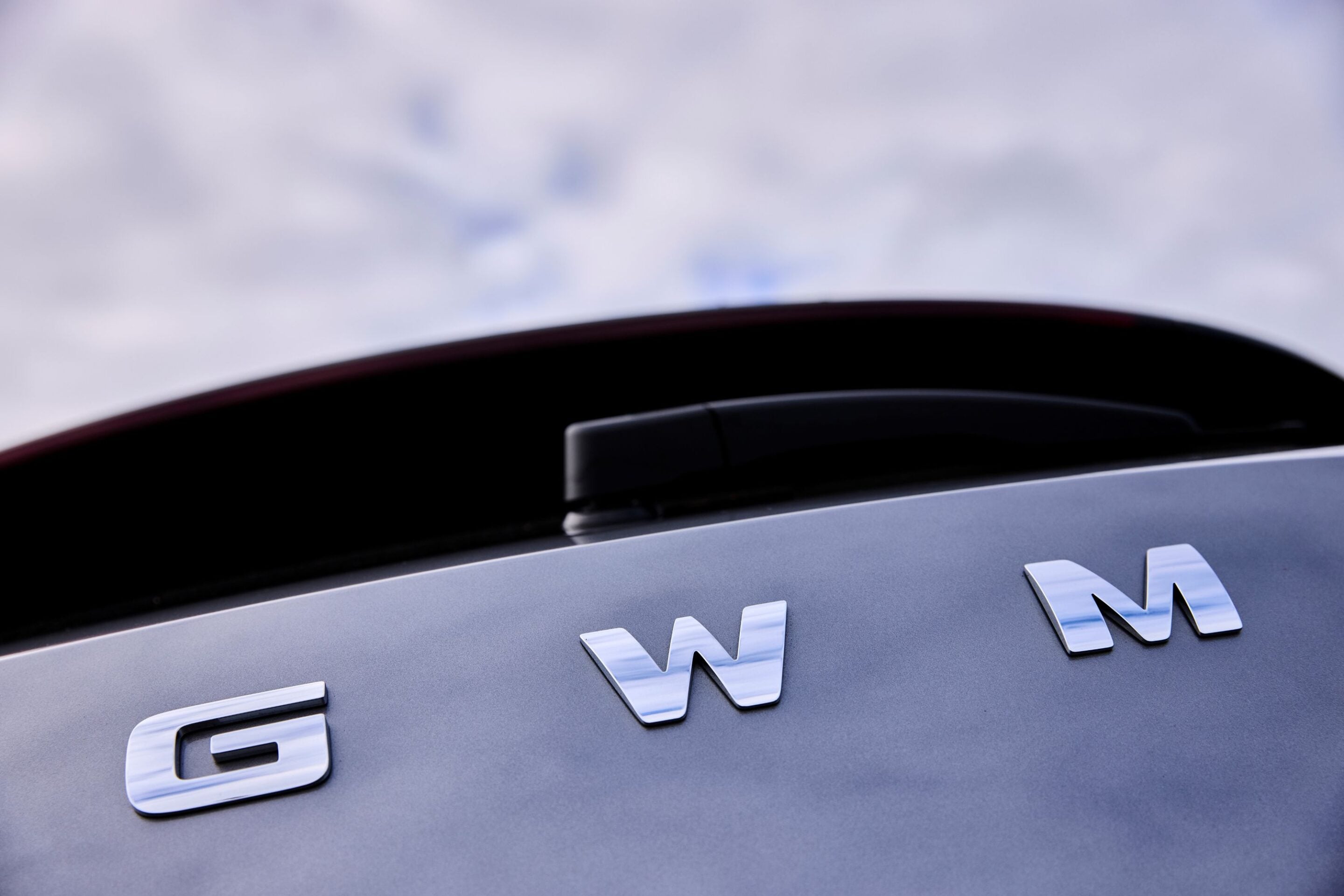 Close-up of chrome GM badge on a dark gray car trunk with a blue sky background.