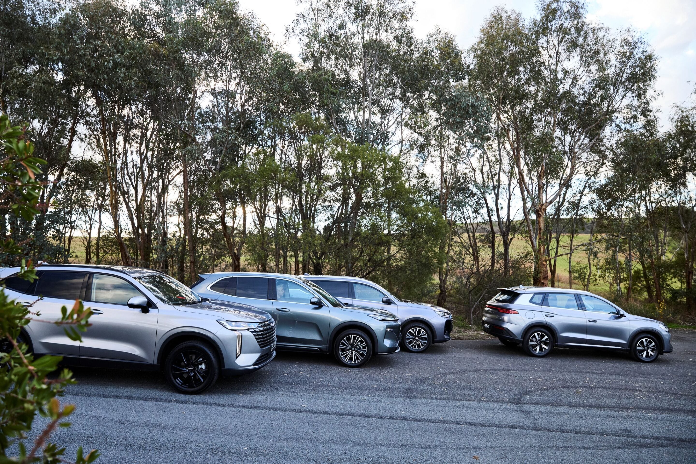 Line of parked SUVs in a lot with tall trees in the background.