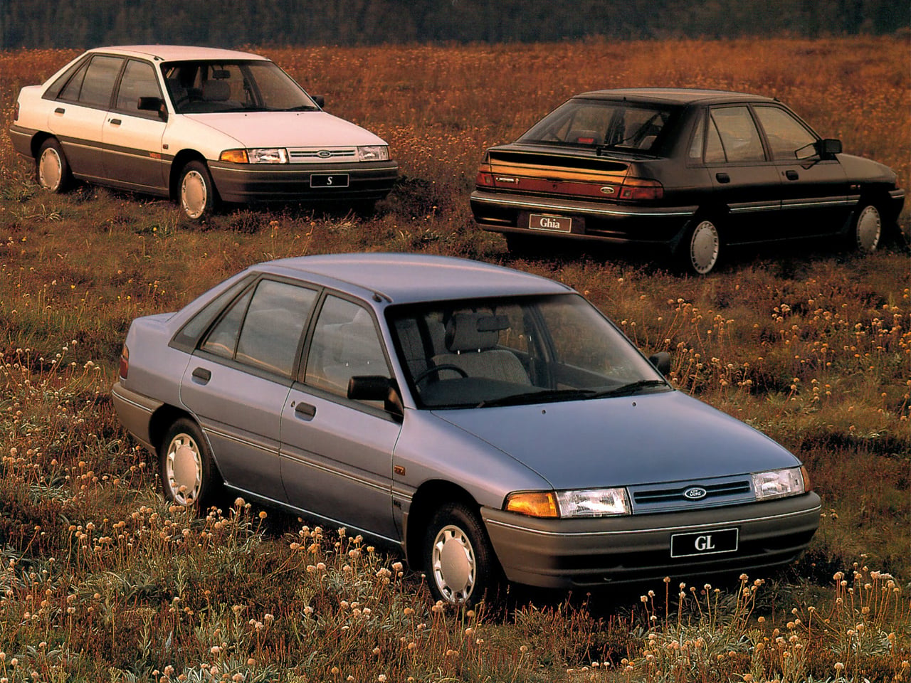 Three Ford sedans parked in a grassy wildflower field: blue GL in the foreground with white S and black Ghia in the background.