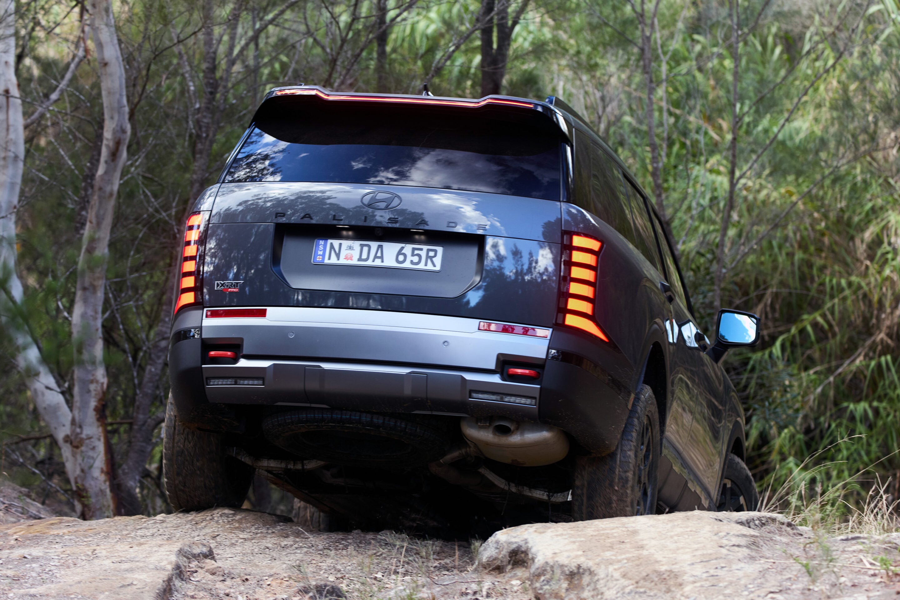 Rear view of a dark Hyundai Palisade SUV on a rocky dirt trail surrounded by trees, taillights illuminated.
